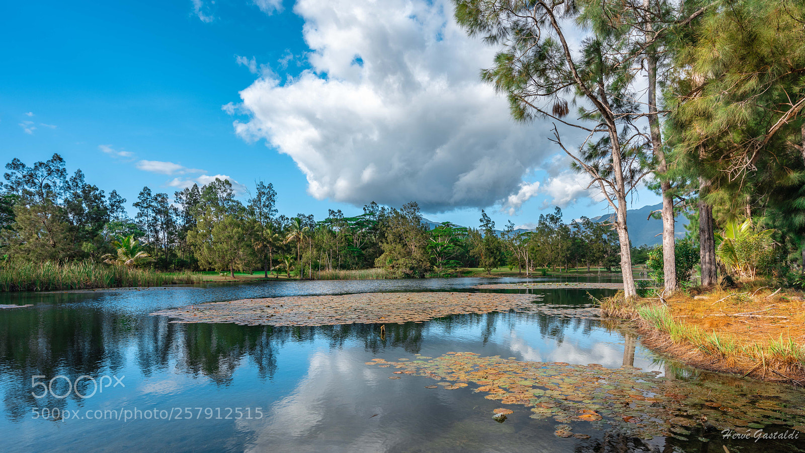 Nikon D810 sample photo. Golf de la ouenghi photography