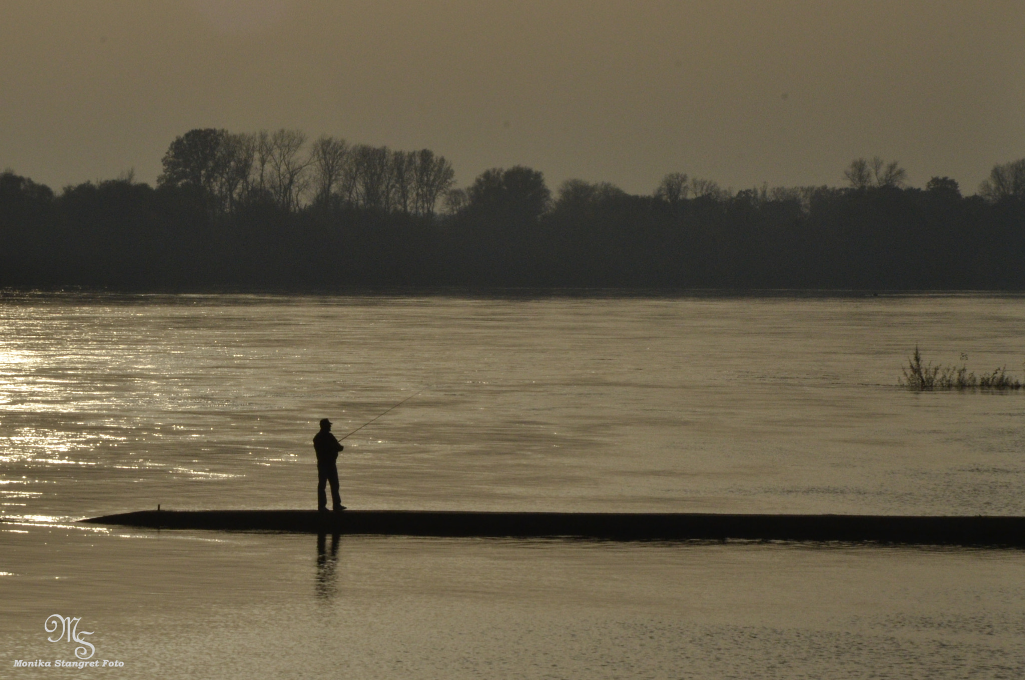 Nikon D3100 sample photo. Peace photography
