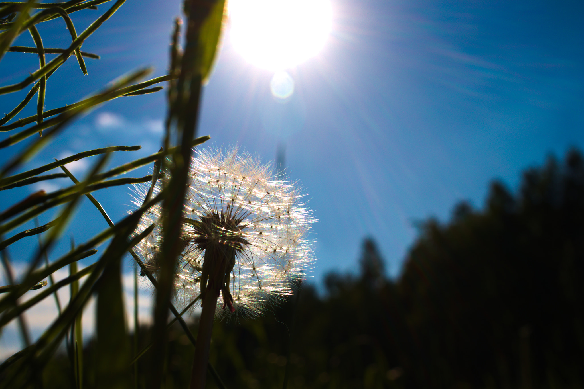 Canon EF-S 24mm F2.8 STM sample photo