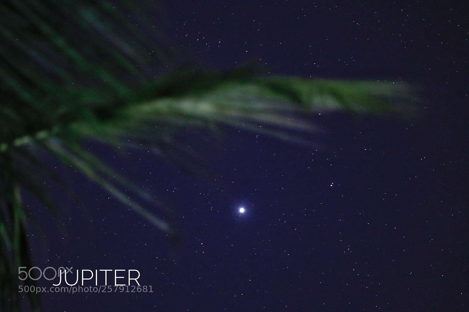 Canon EOS 80D sample photo. Jupiter photography
