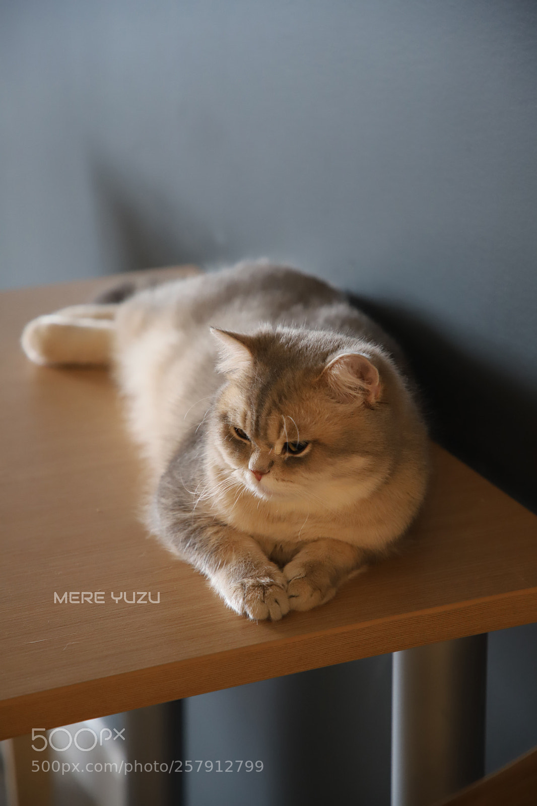 Canon EOS 6D Mark II sample photo. Img photography