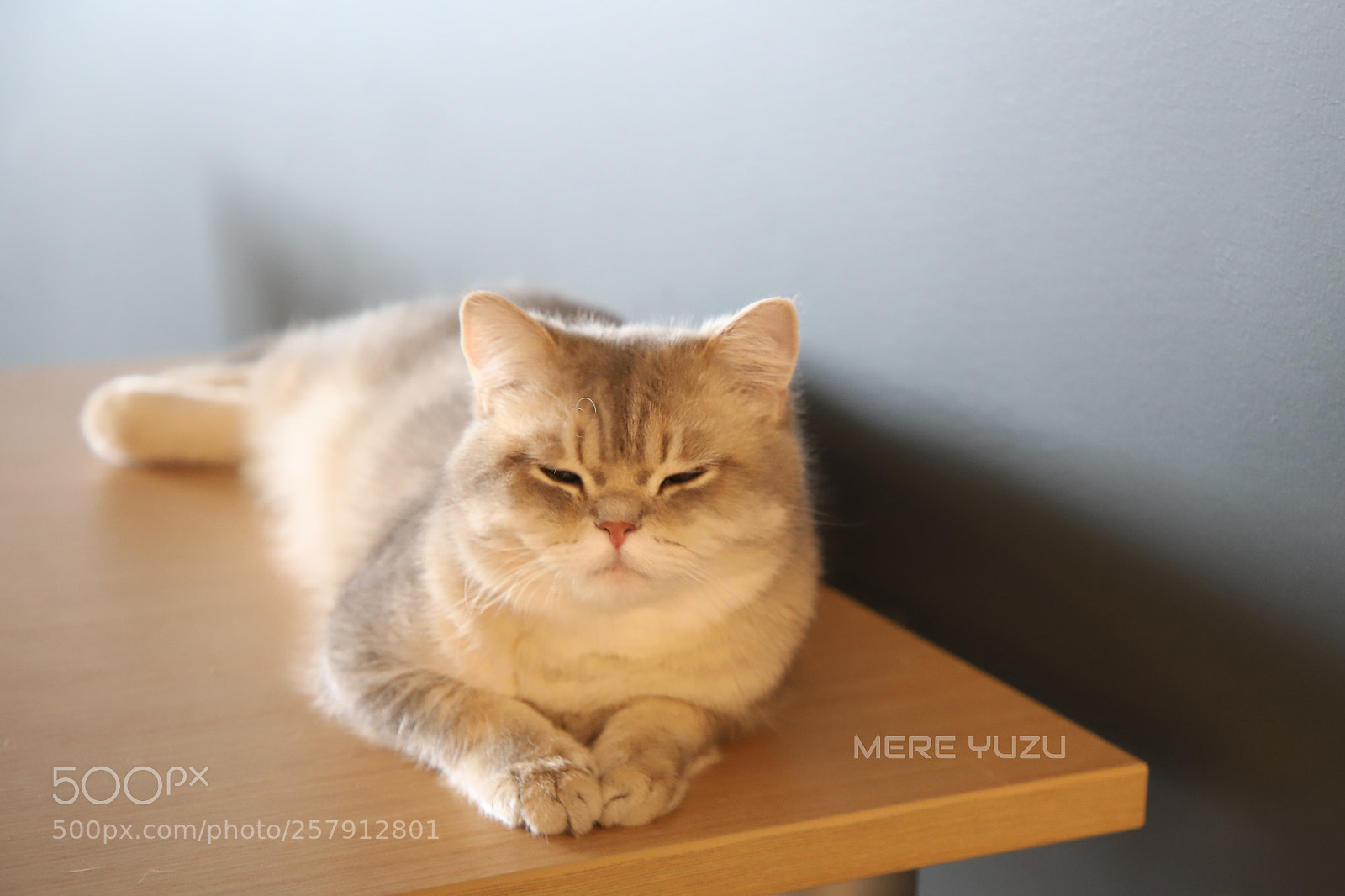 Canon EOS 6D Mark II sample photo. Img photography
