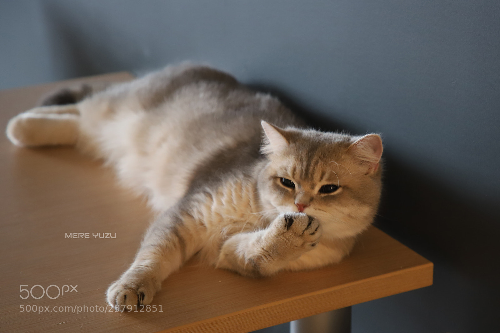 Canon EOS 6D Mark II sample photo. Img photography