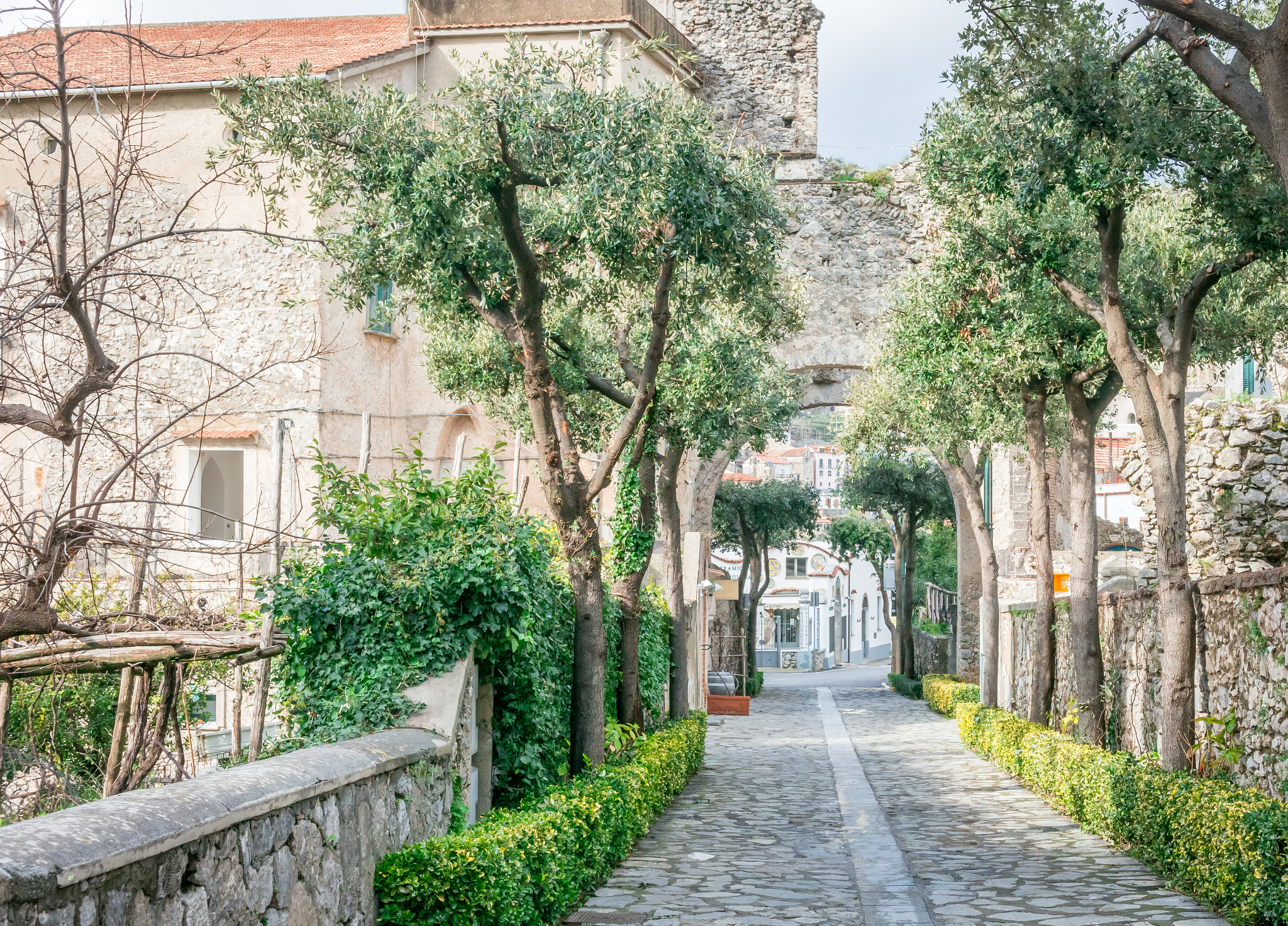 Nikon 1 J5 sample photo. Ravello pathway photography