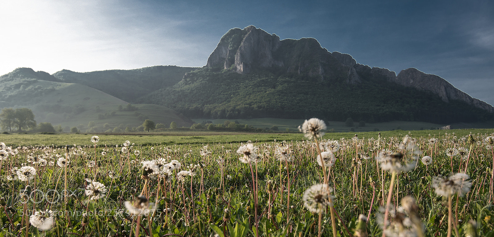 Nikon D750 sample photo. Traskau photography
