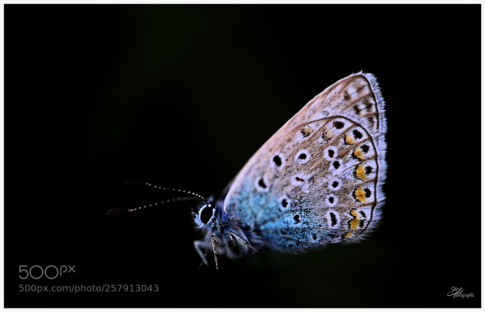 Canon EOS 6D sample photo. Untitled photography