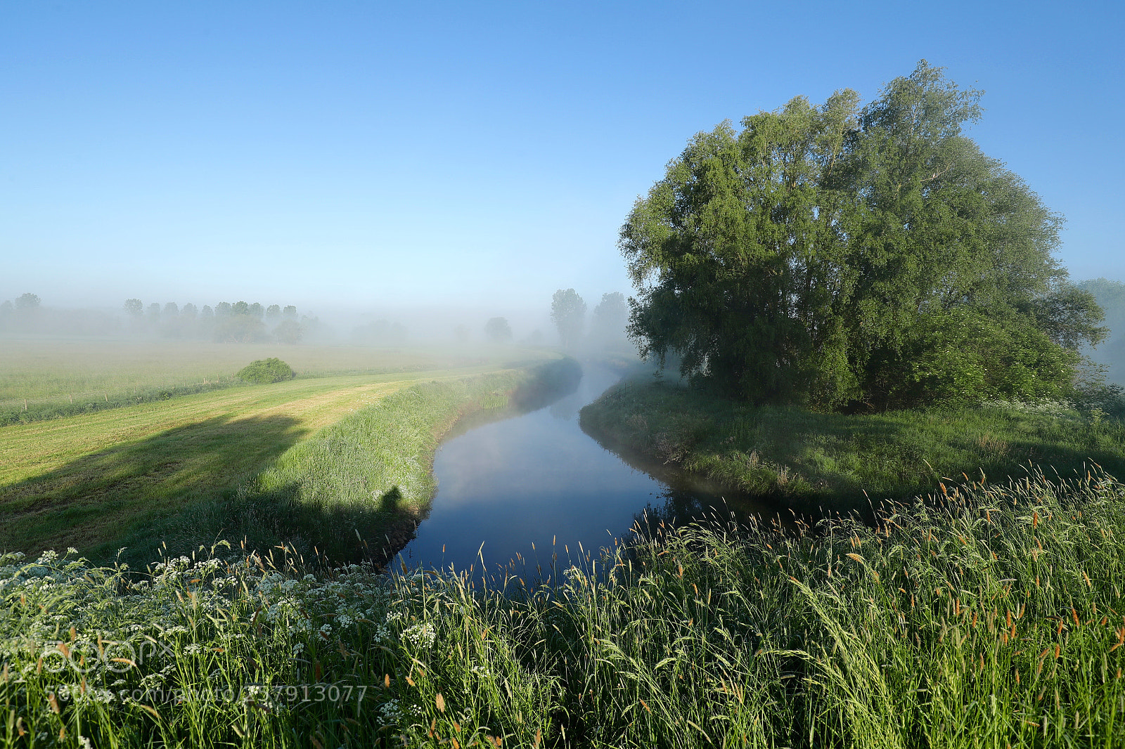 Canon EOS-1D X Mark II sample photo. Foggy morning 3 photography