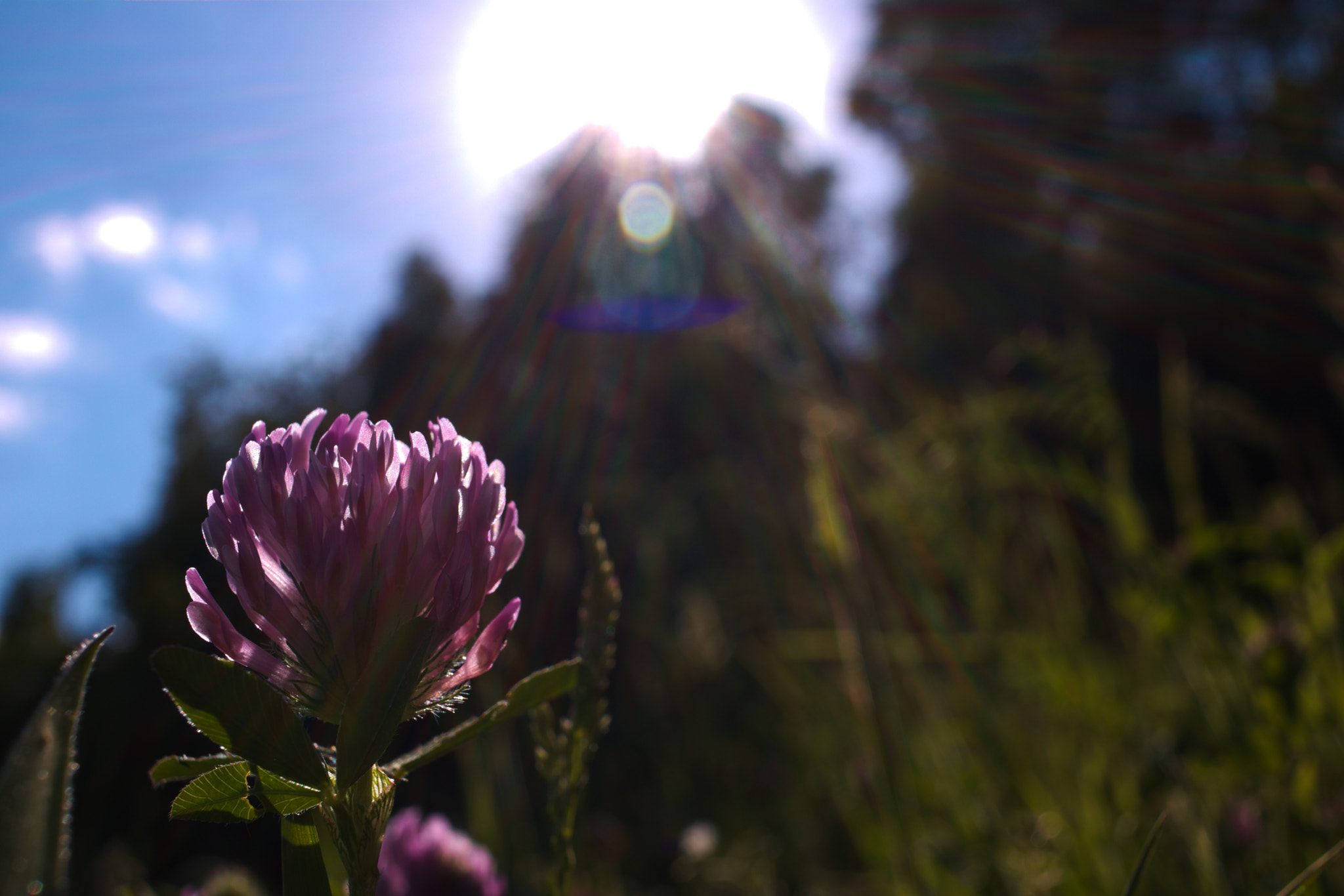 Canon EF-S 24mm F2.8 STM sample photo
