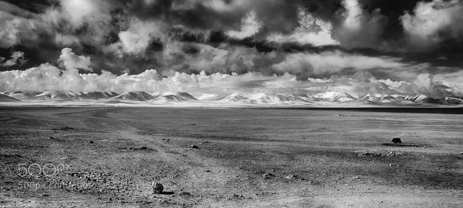 Nikon D90 sample photo. Lac nam tso tibet photography