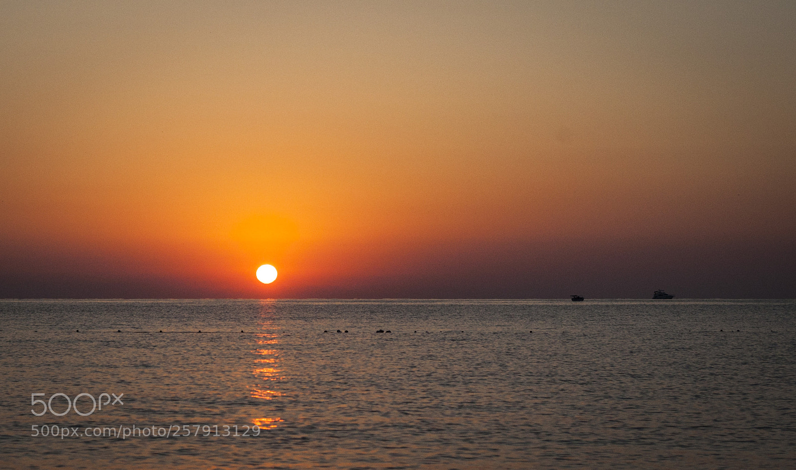 Canon EOS 5D Mark II sample photo. Mg photography