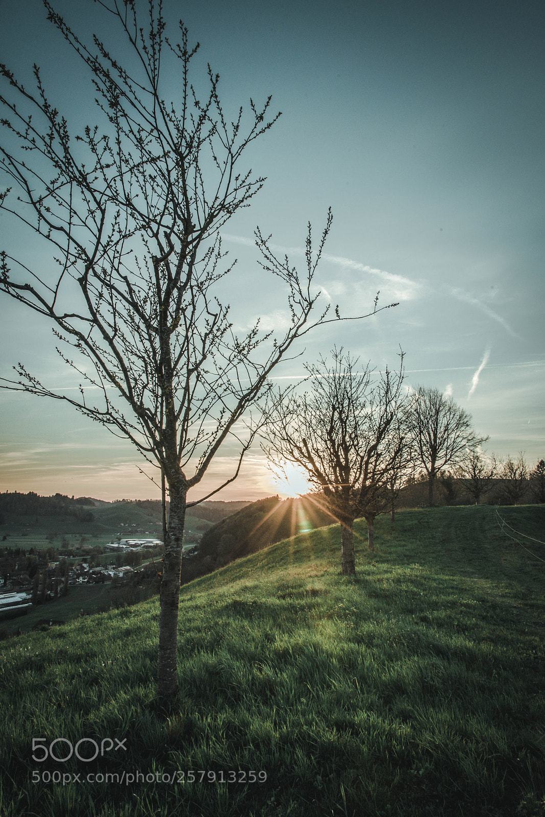 Nikon D750 sample photo. Spring sunset photography