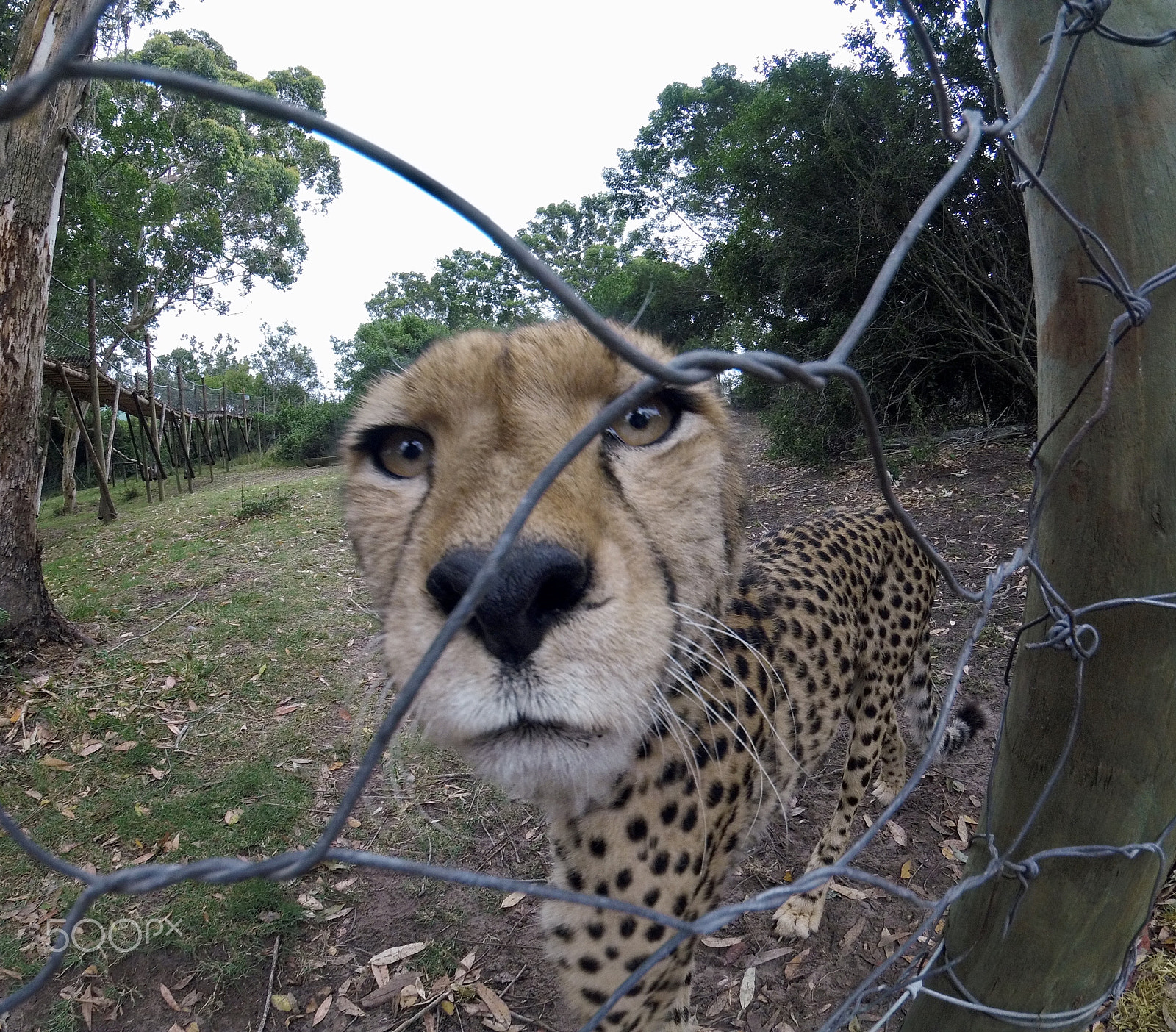 GoPro HERO5 Session sample photo. Dcim\100gopro\gopr3009.jpg photography