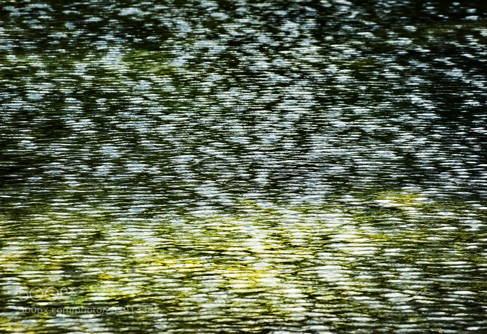 Nikon D5500 sample photo. Abstract surface of a photography
