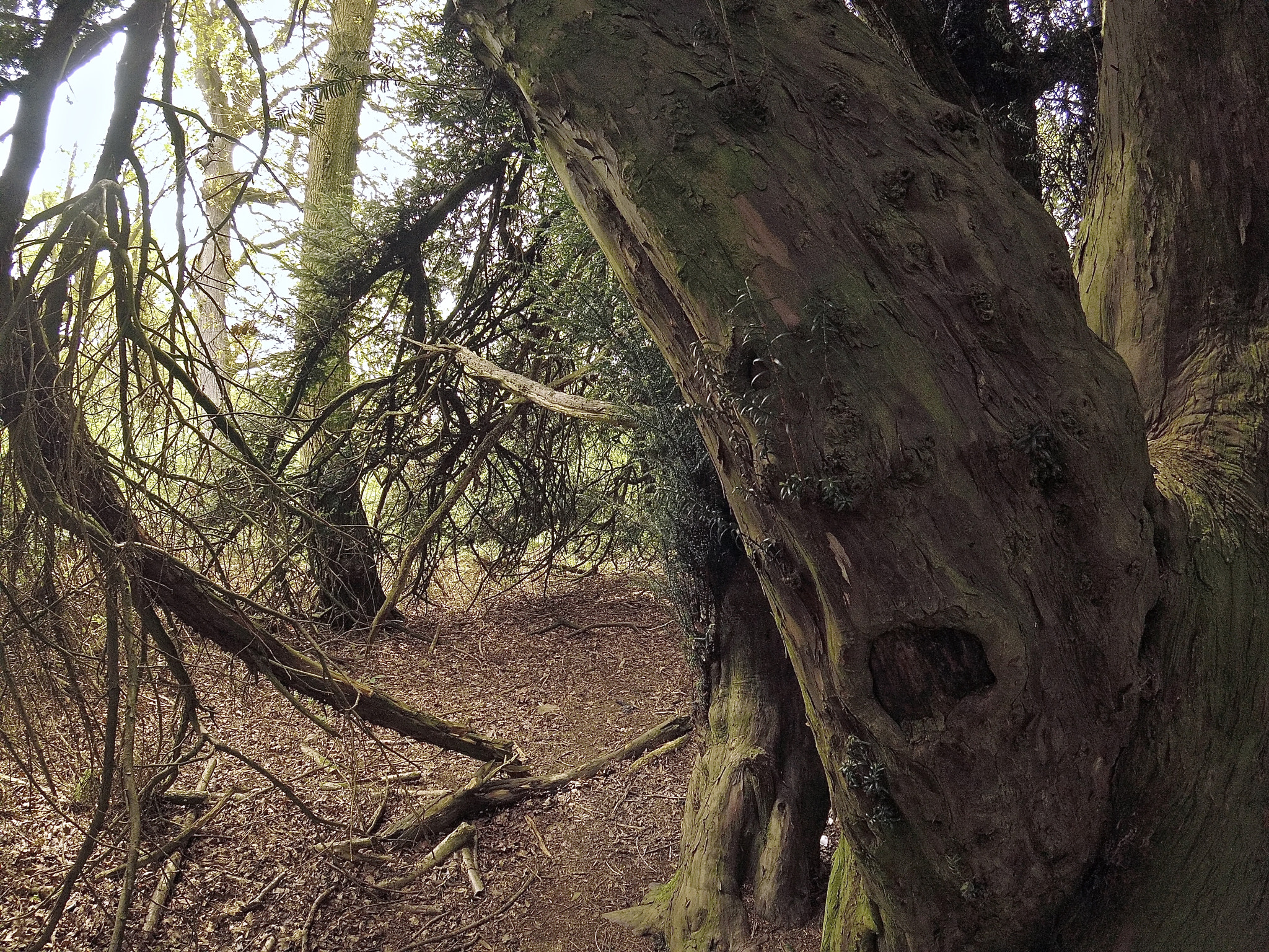 GoPro HERO5 Session sample photo. Dcim\100gopro\gopr3382.jpg photography