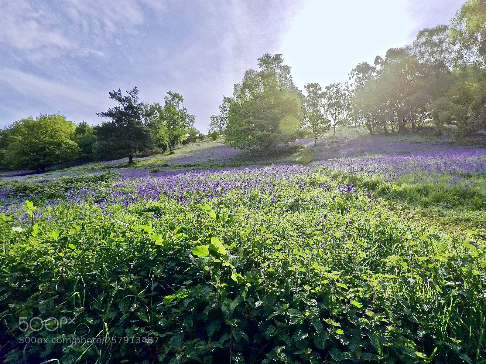 GoPro Hero5 Black sample photo. Dcim\100gopro\gopr2523.jpg photography