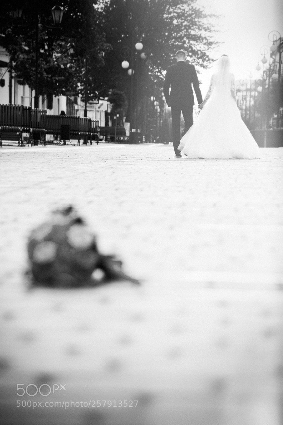 Nikon D810 sample photo. ******* photography