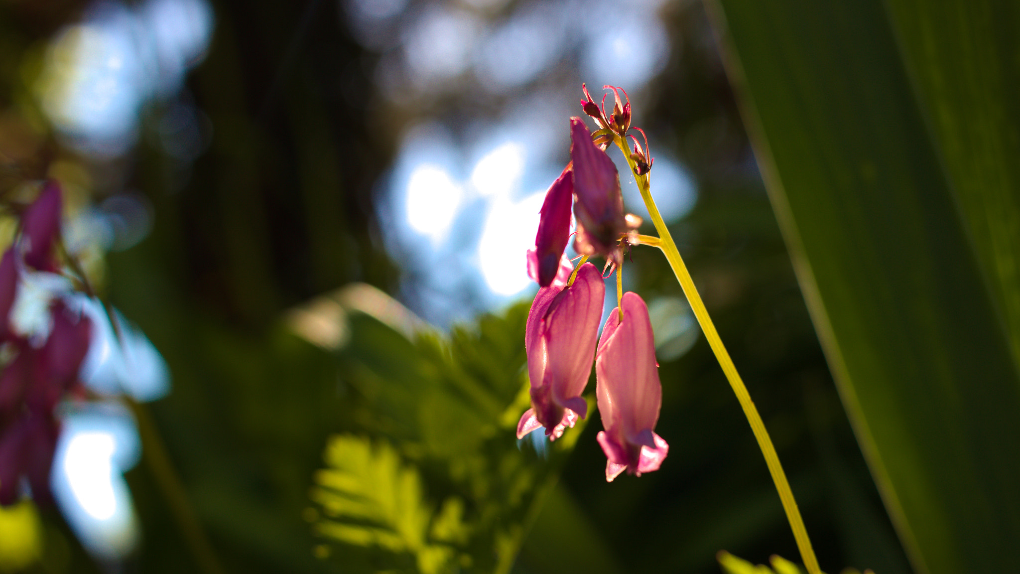 Canon EF-S 24mm F2.8 STM sample photo