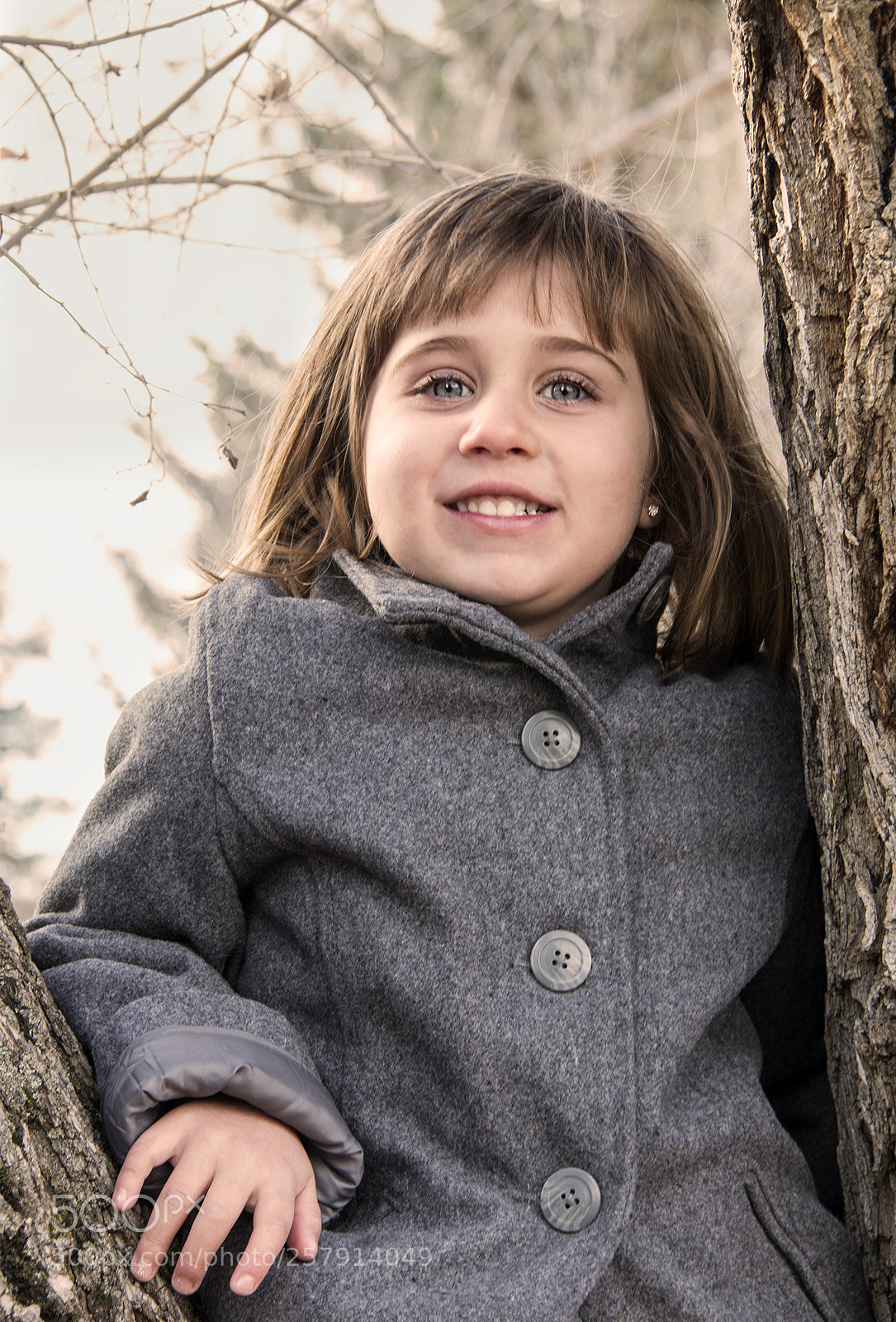 Canon EOS 70D sample photo. Cutie in a tree photography