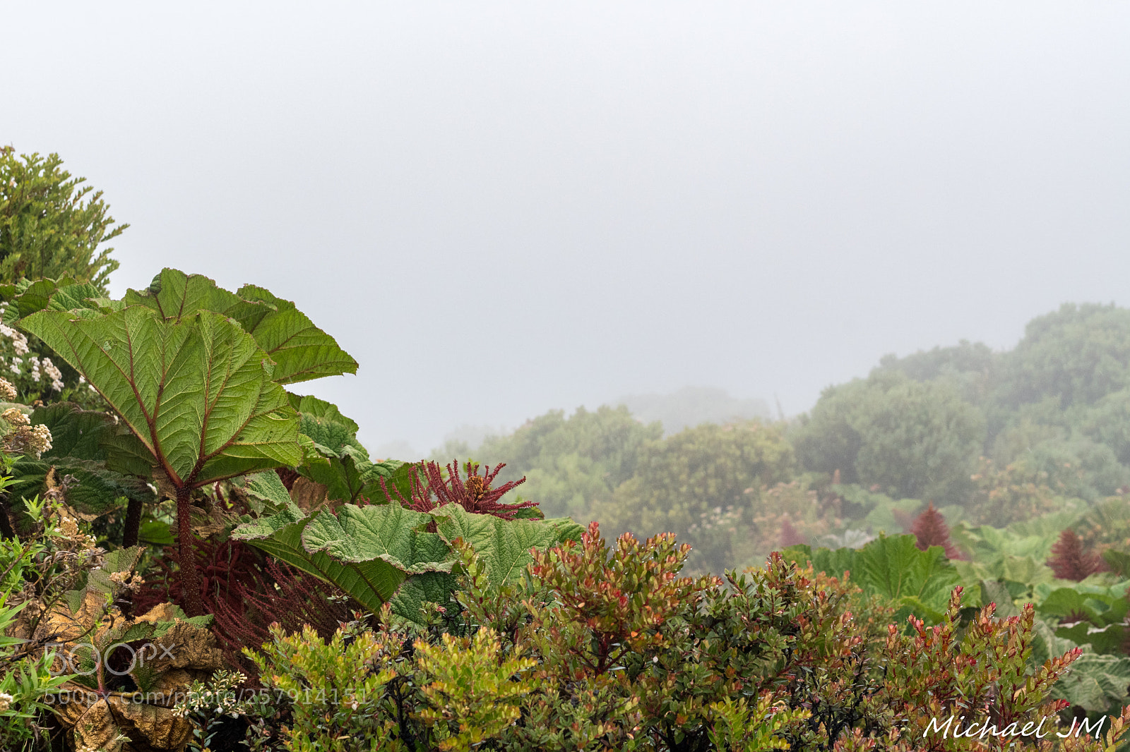 Nikon D500 sample photo. Nature in volcano photography