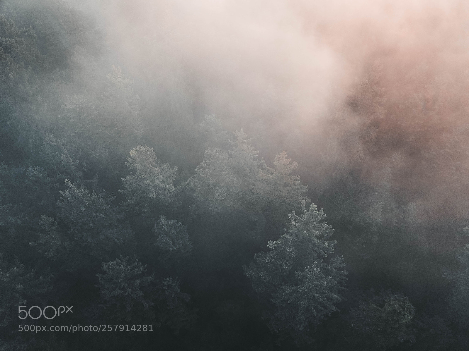 DJI FC220 sample photo. Morning fog photography