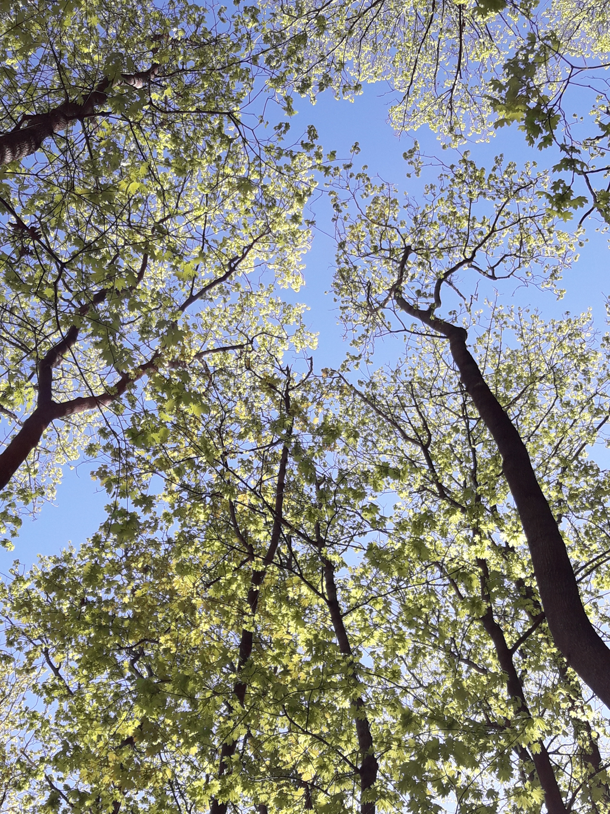 Samsung Galaxy J7 Neo sample photo