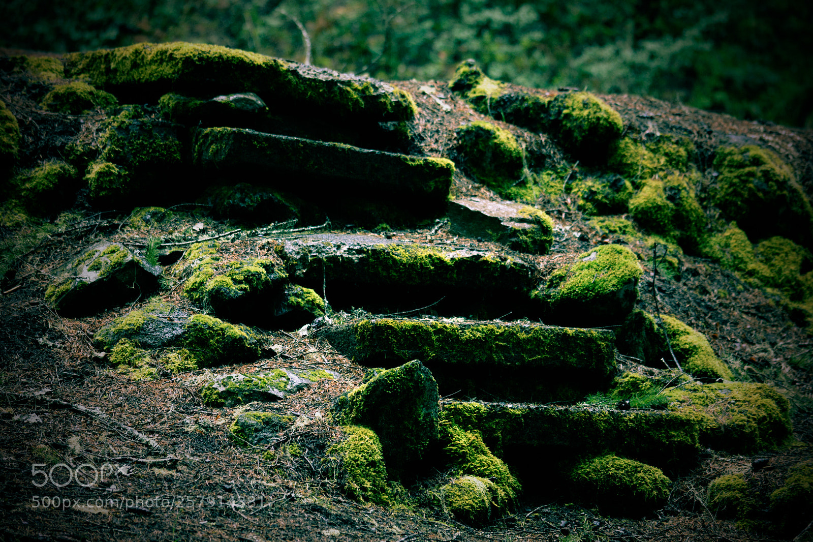 Nikon D5200 sample photo. Stairway to nowhere photography