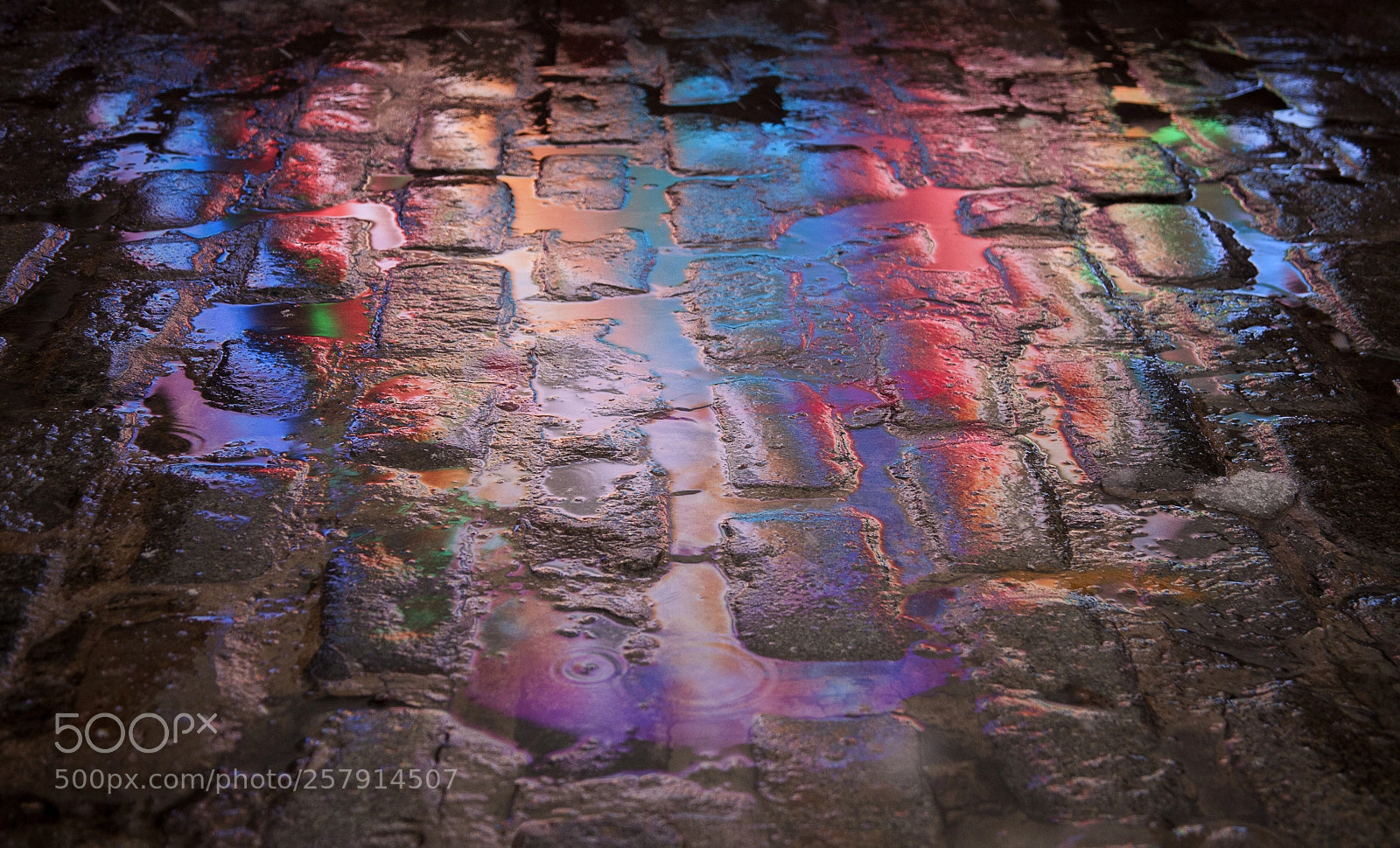 Canon EOS 5D sample photo. Dance of colors photography