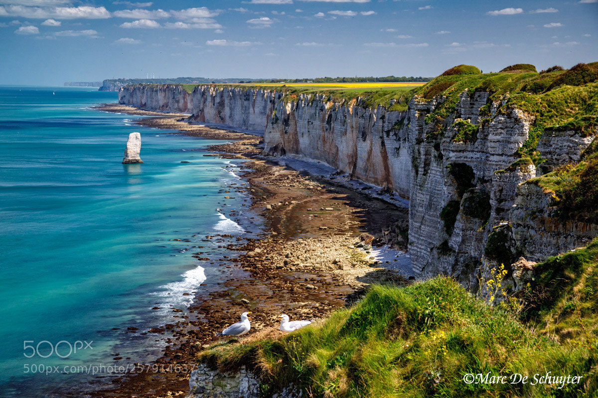 Canon EOS 5D Mark IV sample photo. Chalk cliffs, normandy france photography