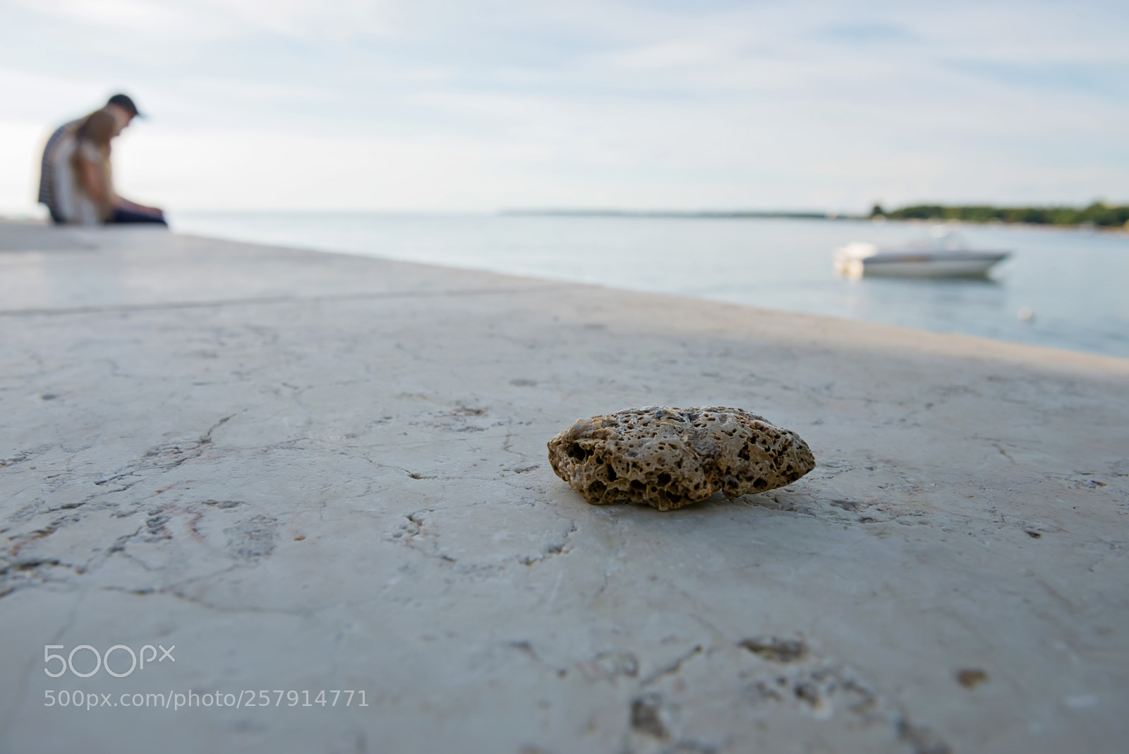 Nikon D610 sample photo. Macro shot of stone photography