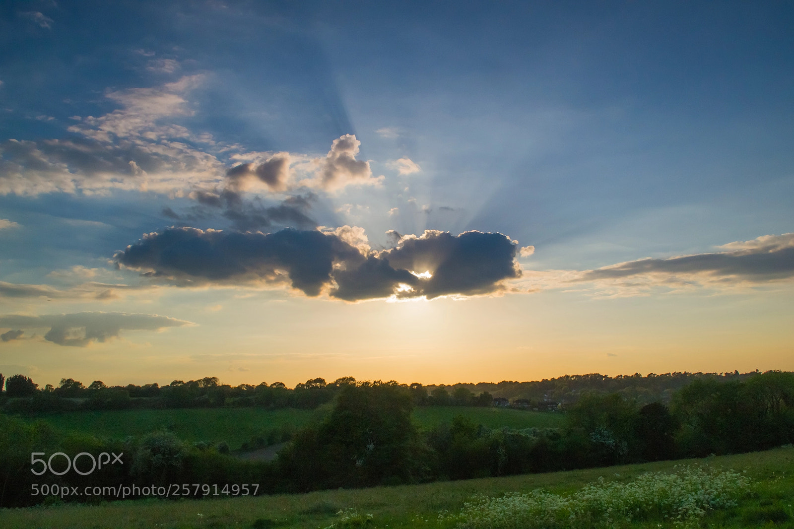 Nikon D3100 sample photo. Farthing downs photography