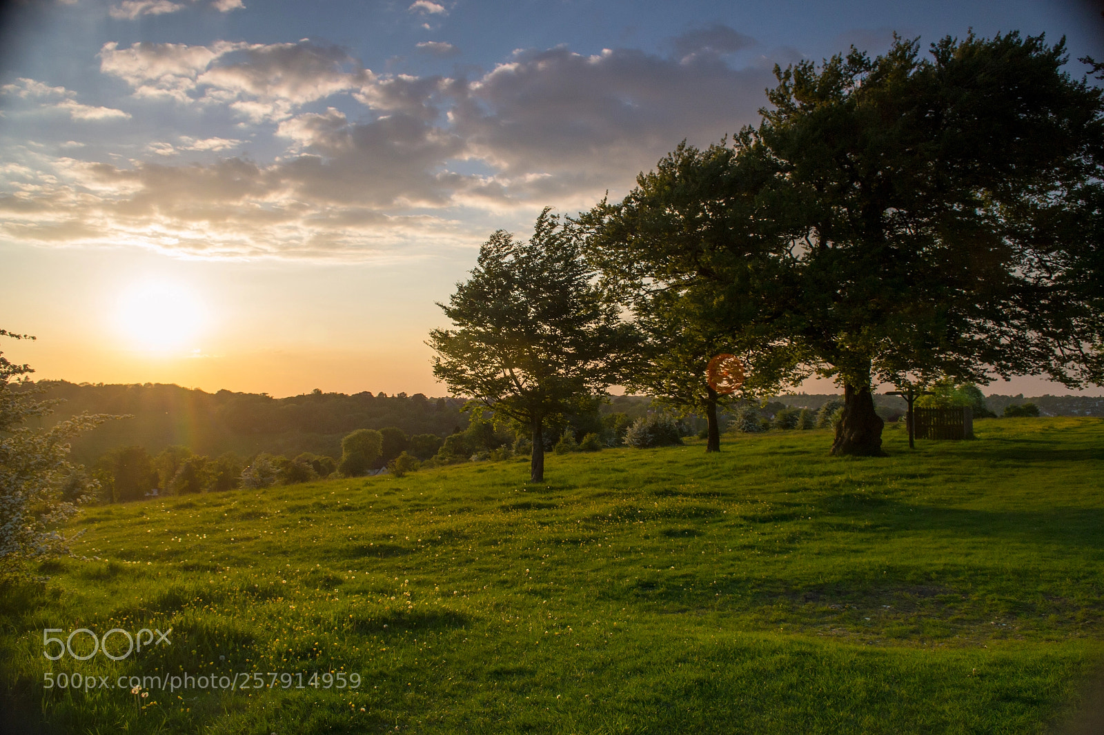 Nikon D3100 sample photo. Farthing downs photography