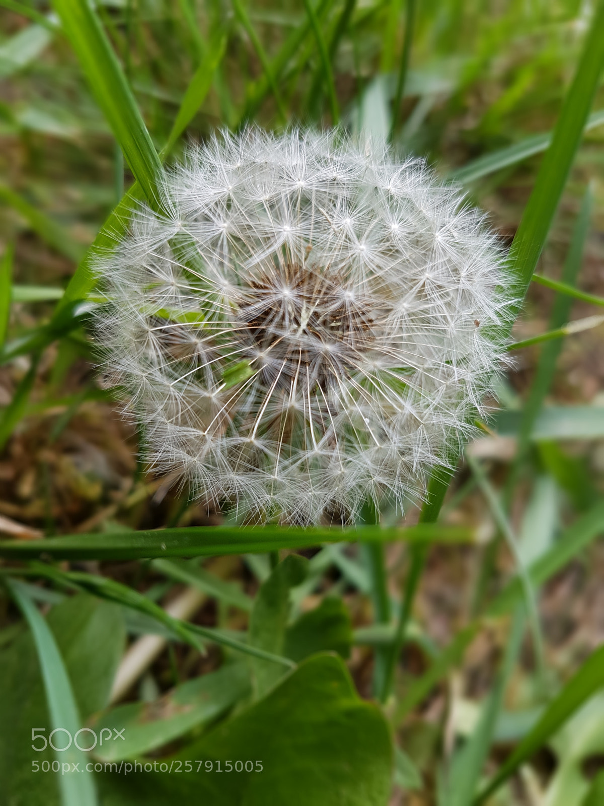 Samsung Galaxy S7 Edge sample photo. Untitled photography