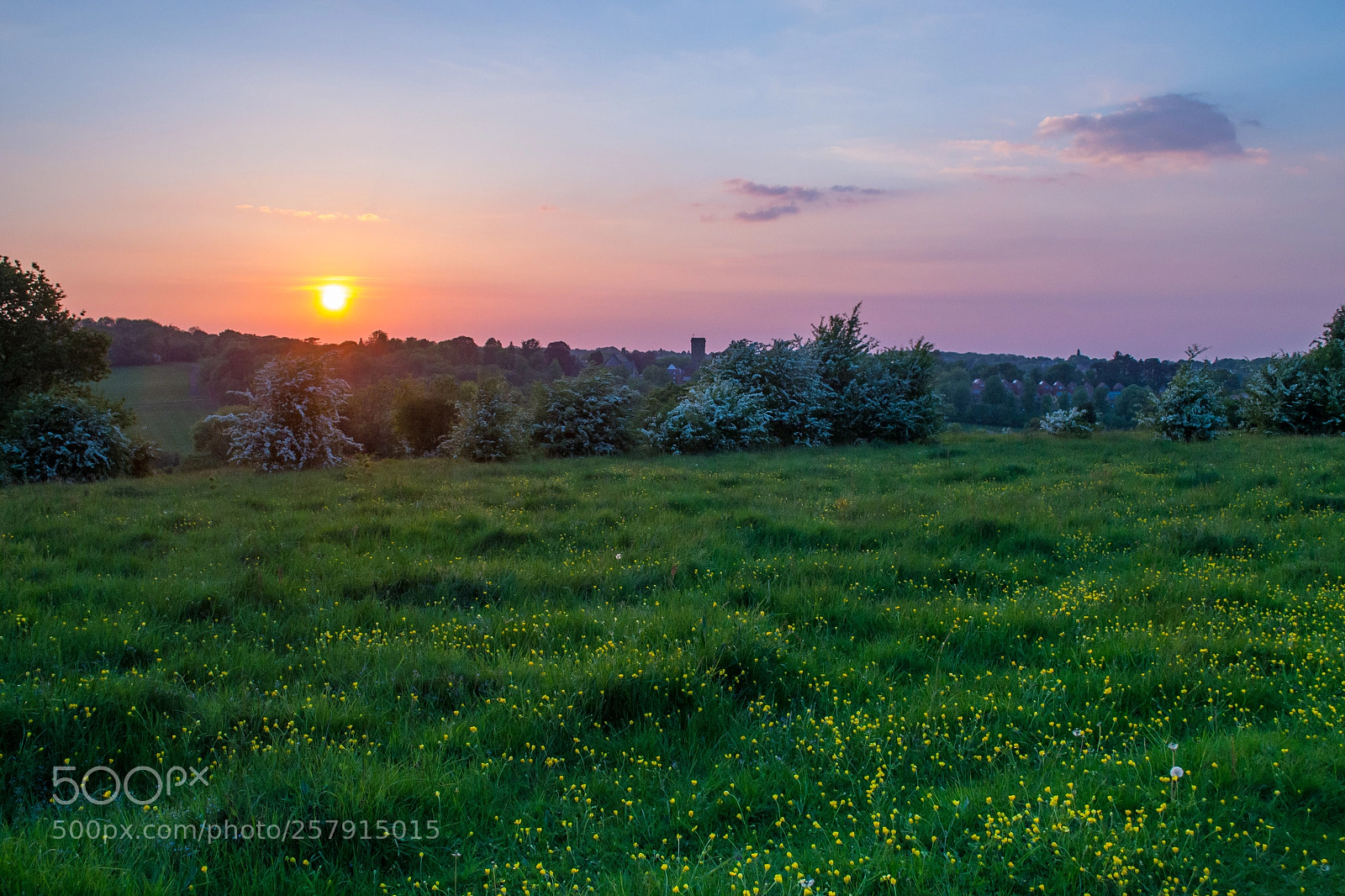 Nikon D3100 sample photo. Farthing downs photography