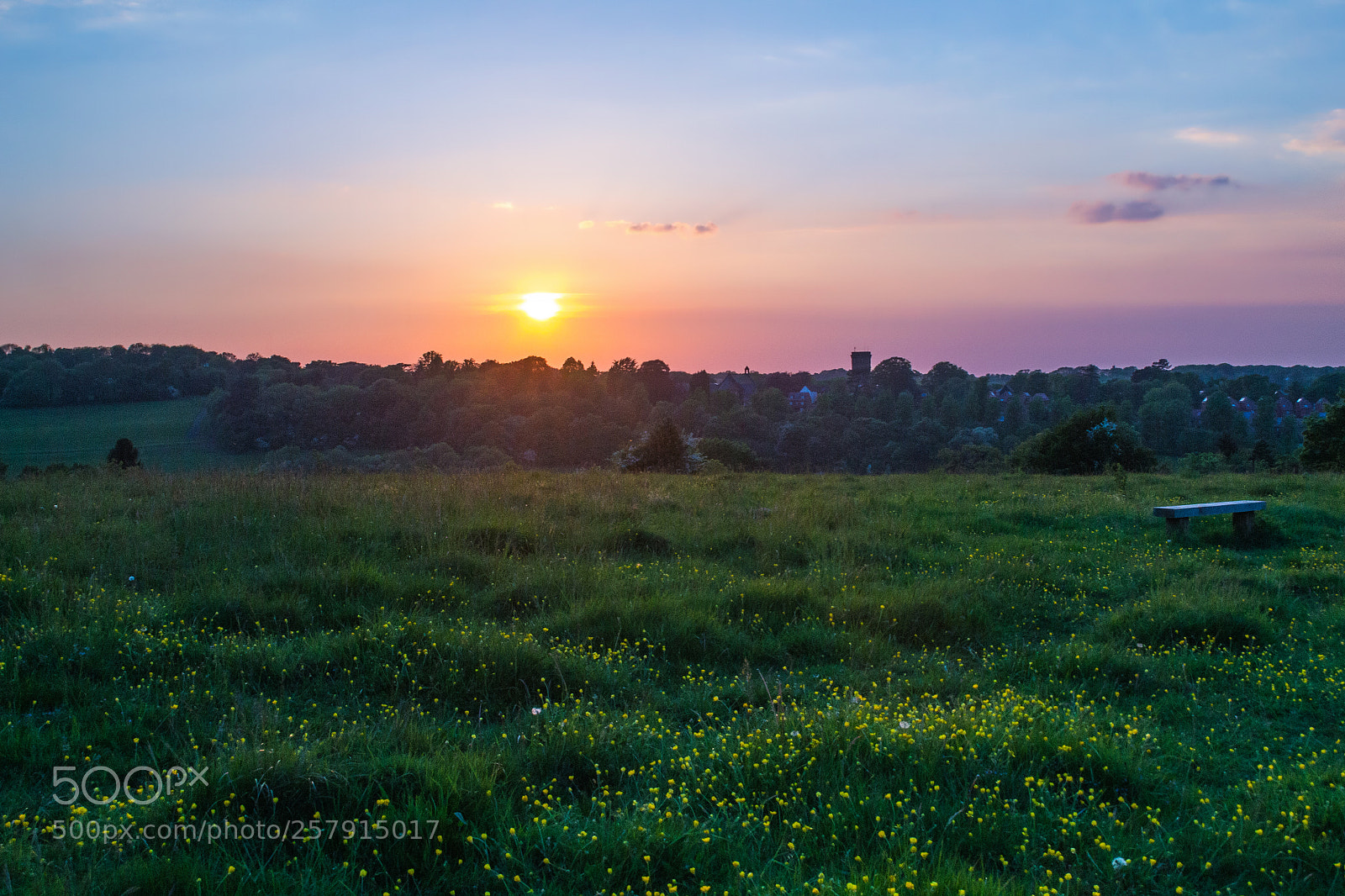 Nikon D3100 sample photo. Farthing downs photography