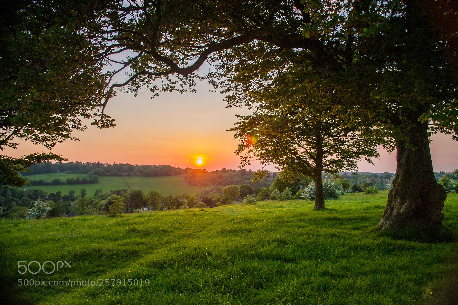 Nikon D3100 sample photo. Farthing downs photography