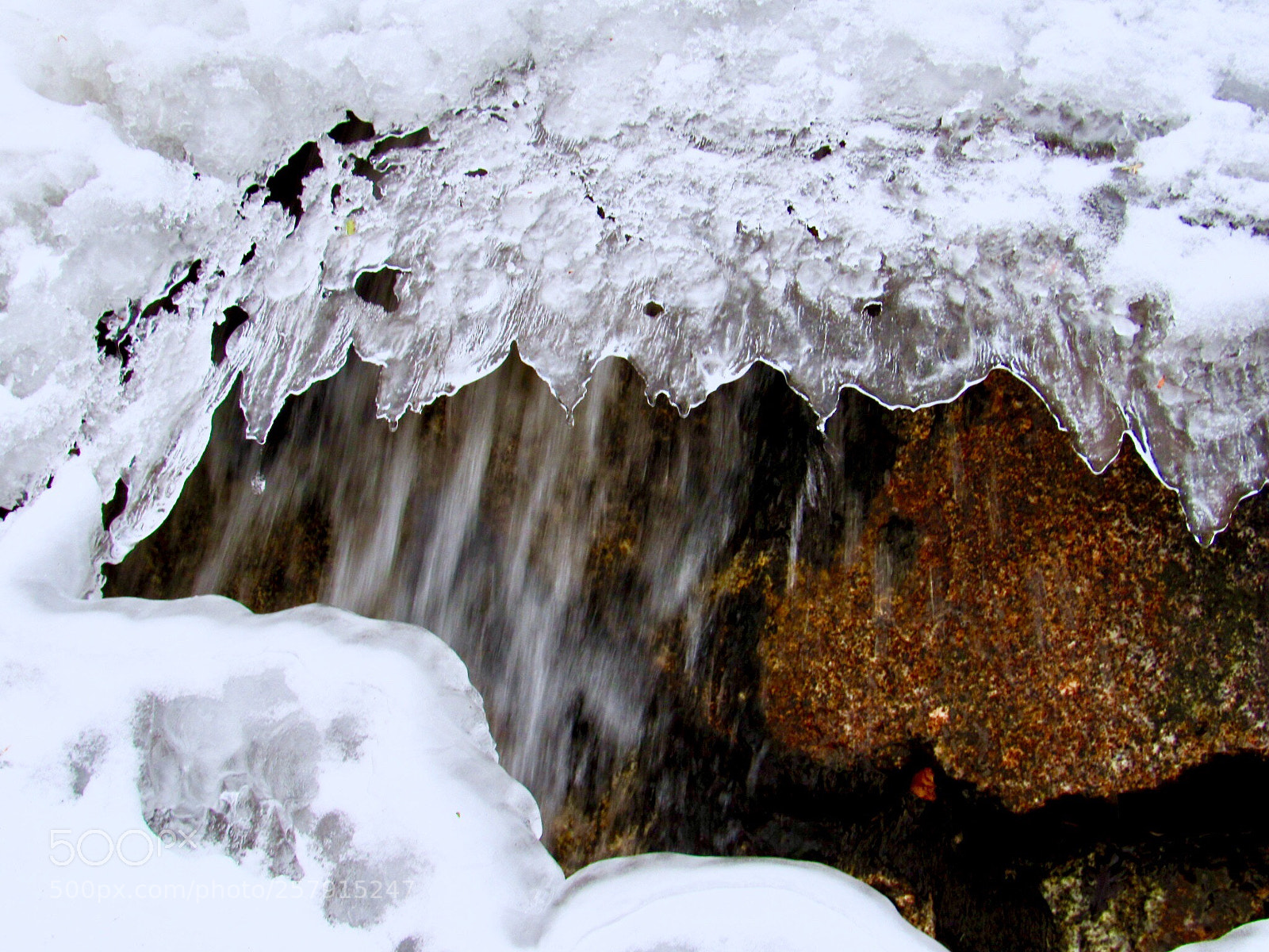 Canon PowerShot SX530 HS sample photo. Hidden beauty photography