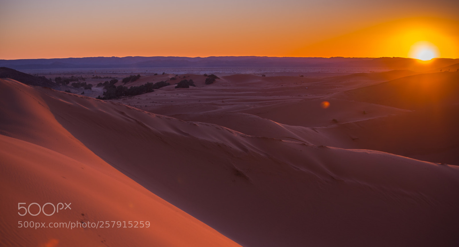 Nikon D750 sample photo. Sahara 5 photography