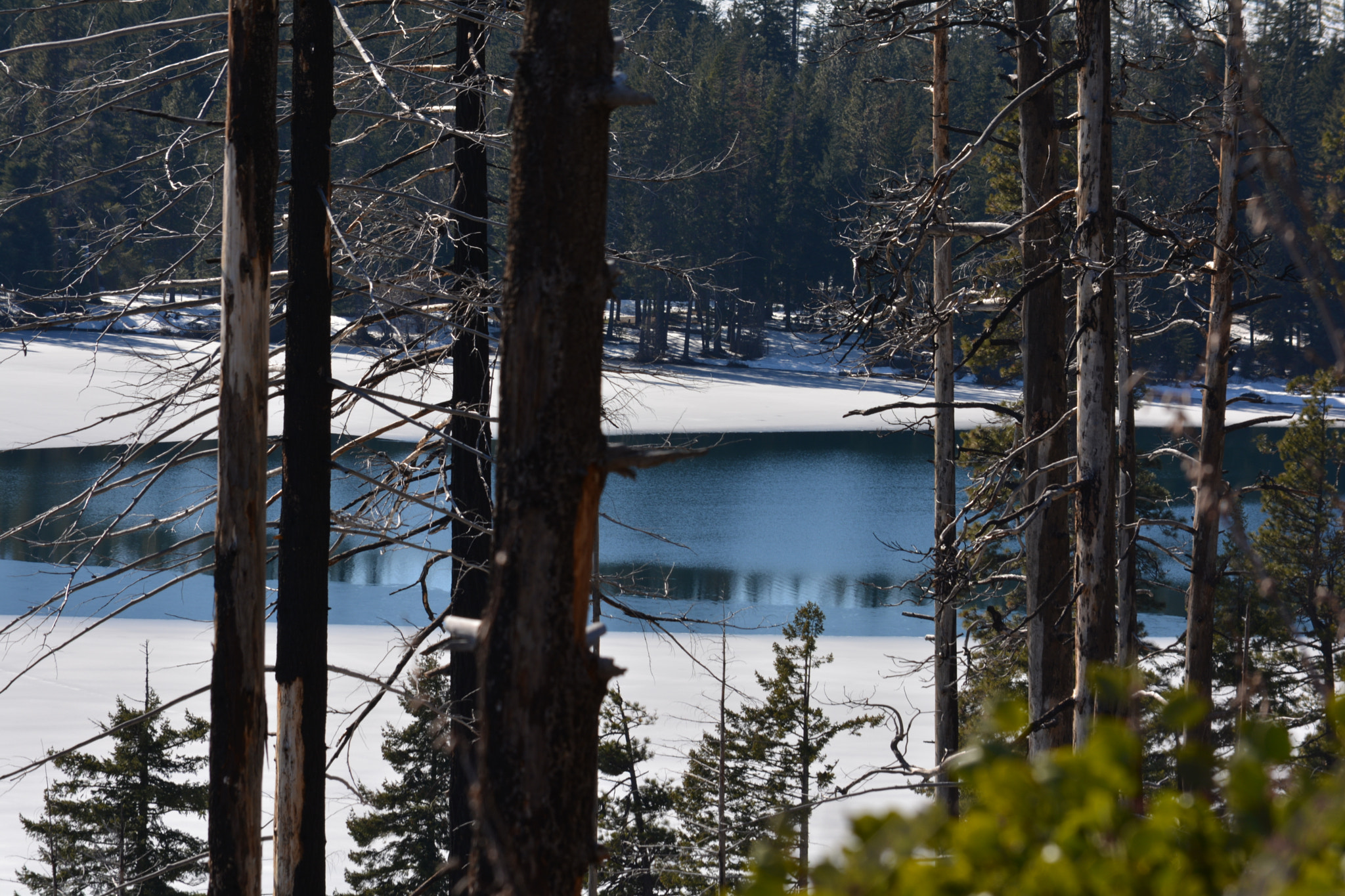 Nikon D5200 sample photo. Hidden gem photography