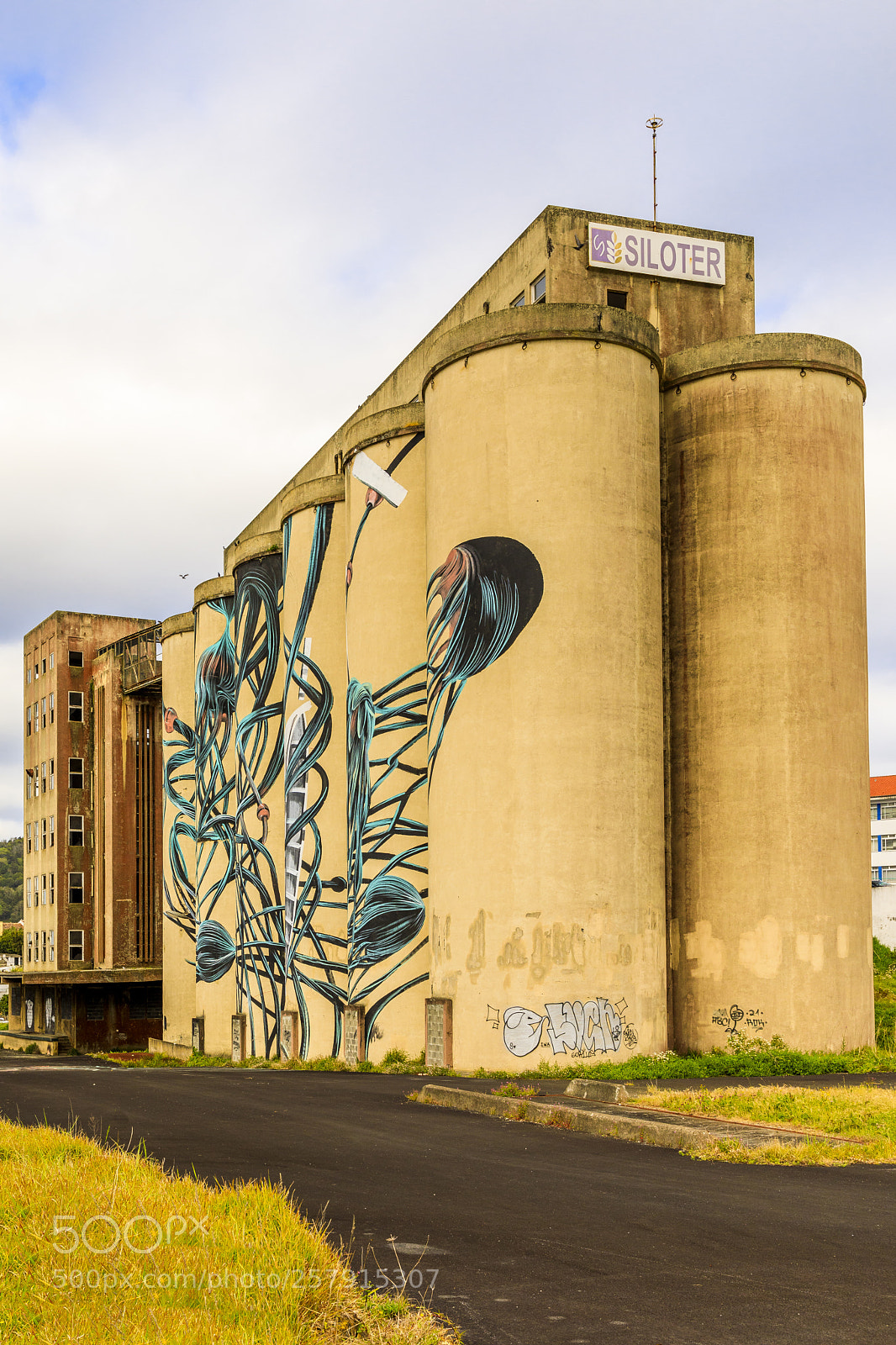 Canon EOS 5D Mark IV sample photo. A ores-terceira-angra do hero photography