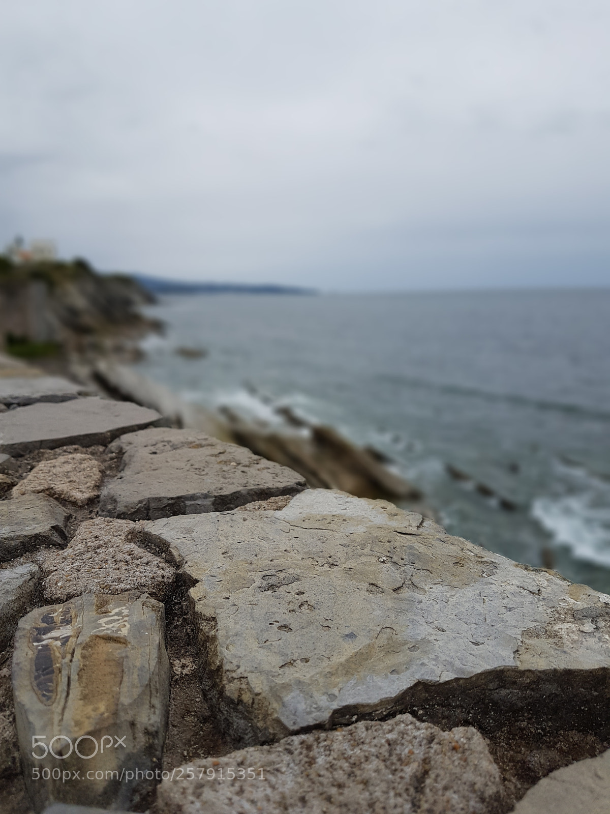 Samsung Galaxy S7 Edge sample photo. Untitled photography