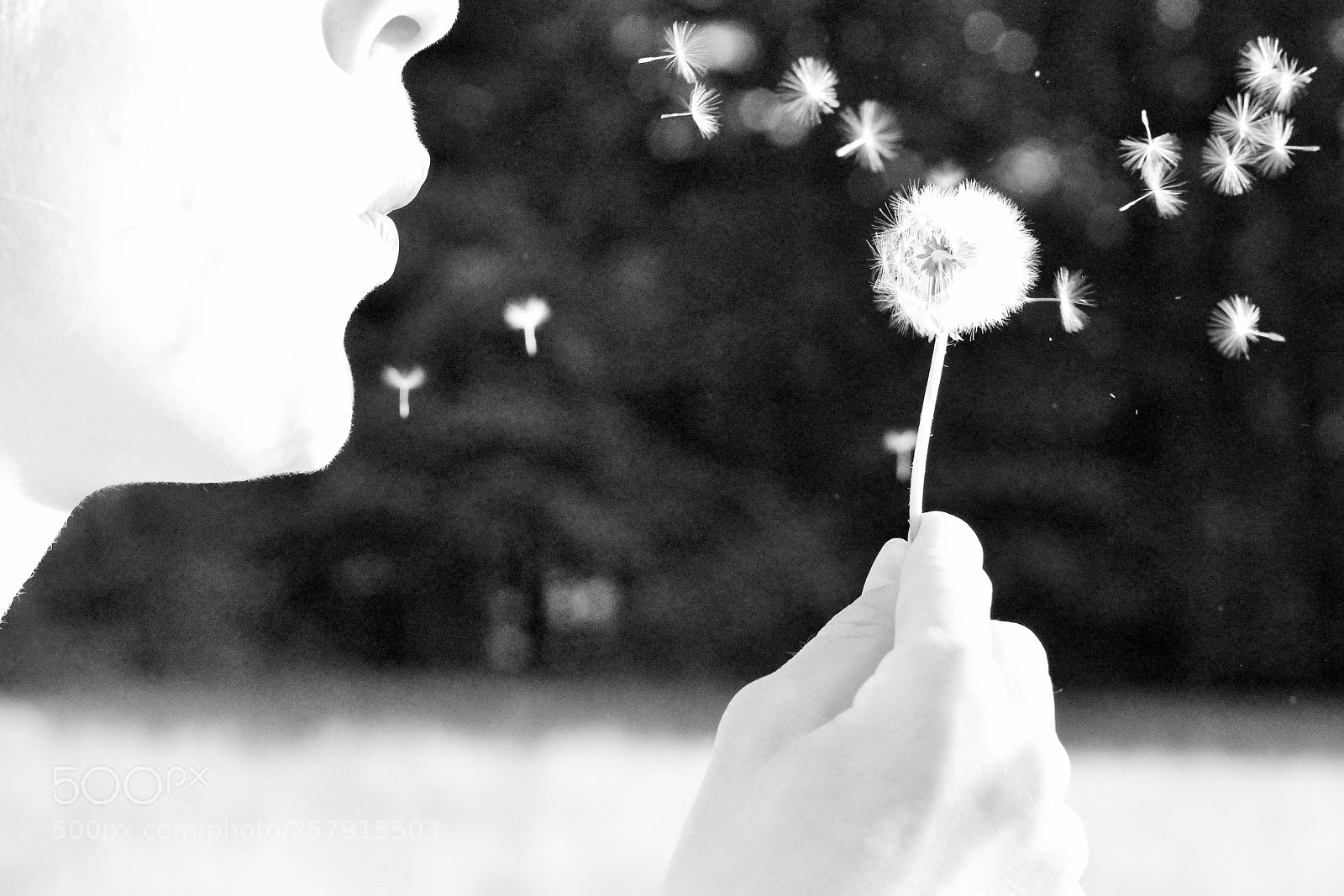 Canon EOS 100D (EOS Rebel SL1 / EOS Kiss X7) sample photo. Lightness of being photography