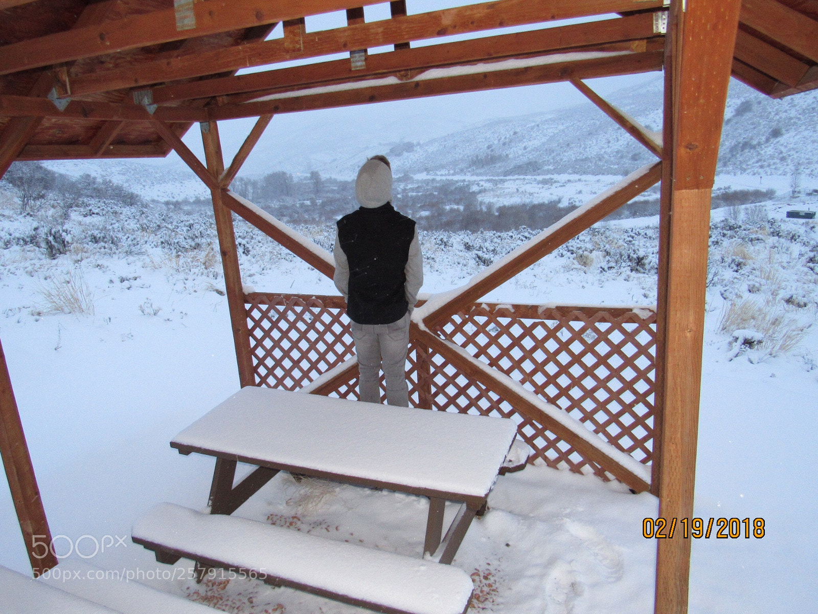 Canon PowerShot SX530 HS sample photo. Isolated winters photography
