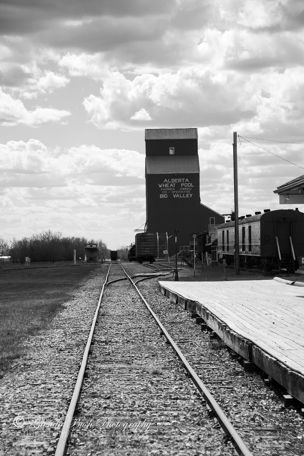 Canon EOS 70D sample photo. Big valley railway bw photography