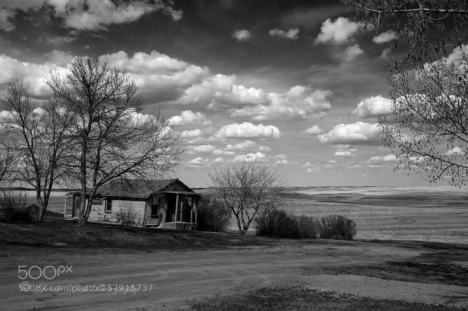 Canon EOS 70D sample photo. Rowley house bw photography