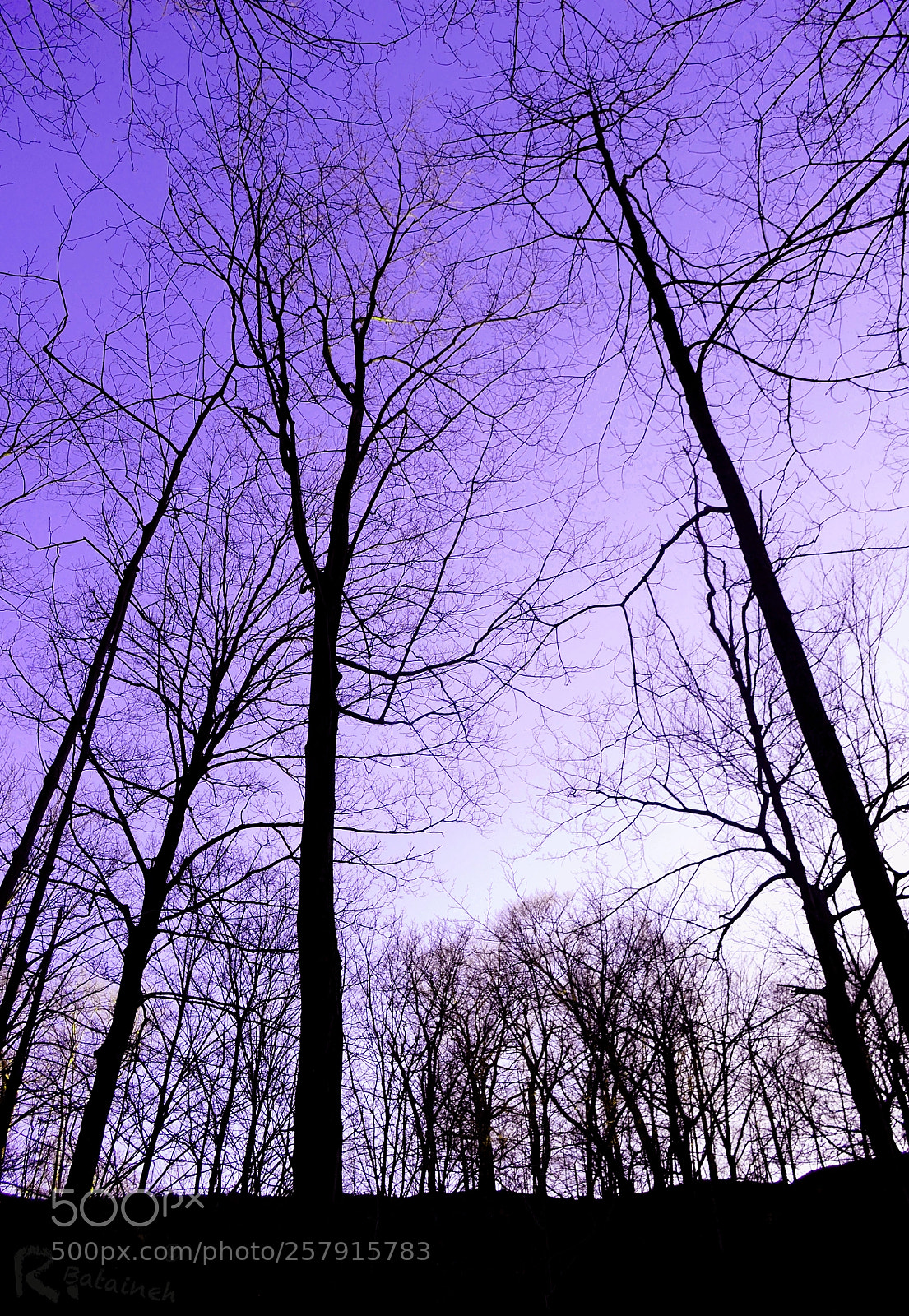 Nikon D3100 sample photo. Vantage point photography