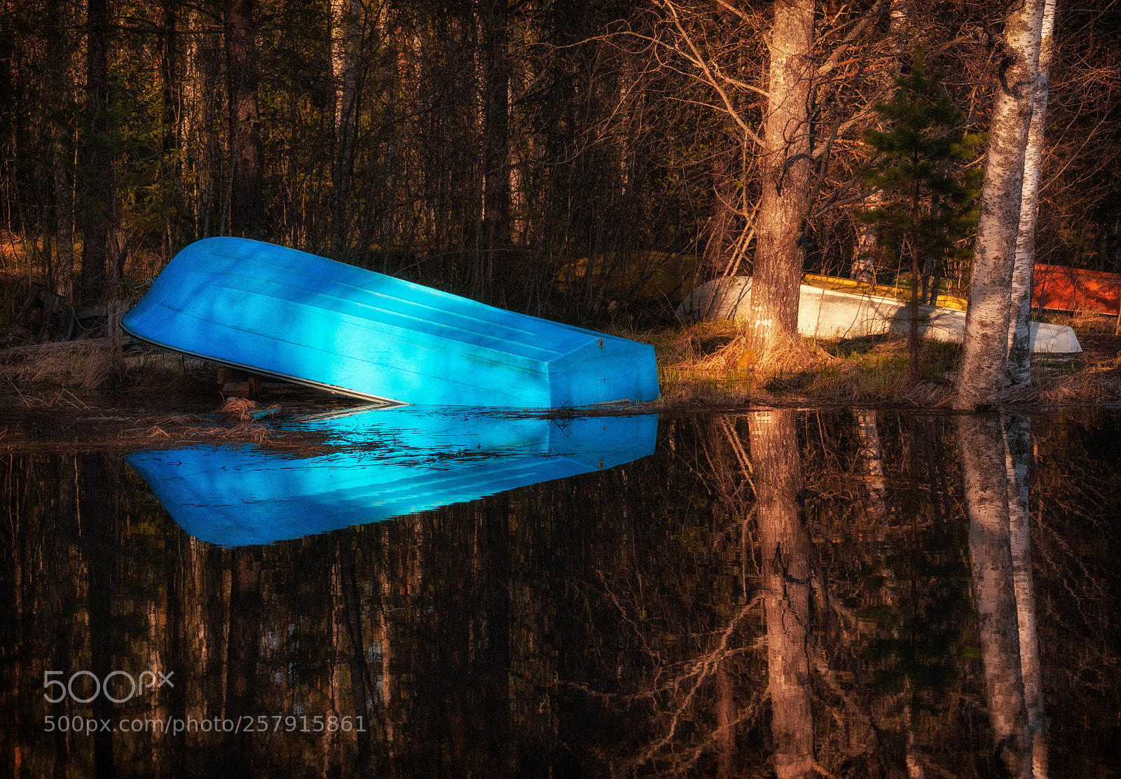 Nikon D300 sample photo. Blue boat photography