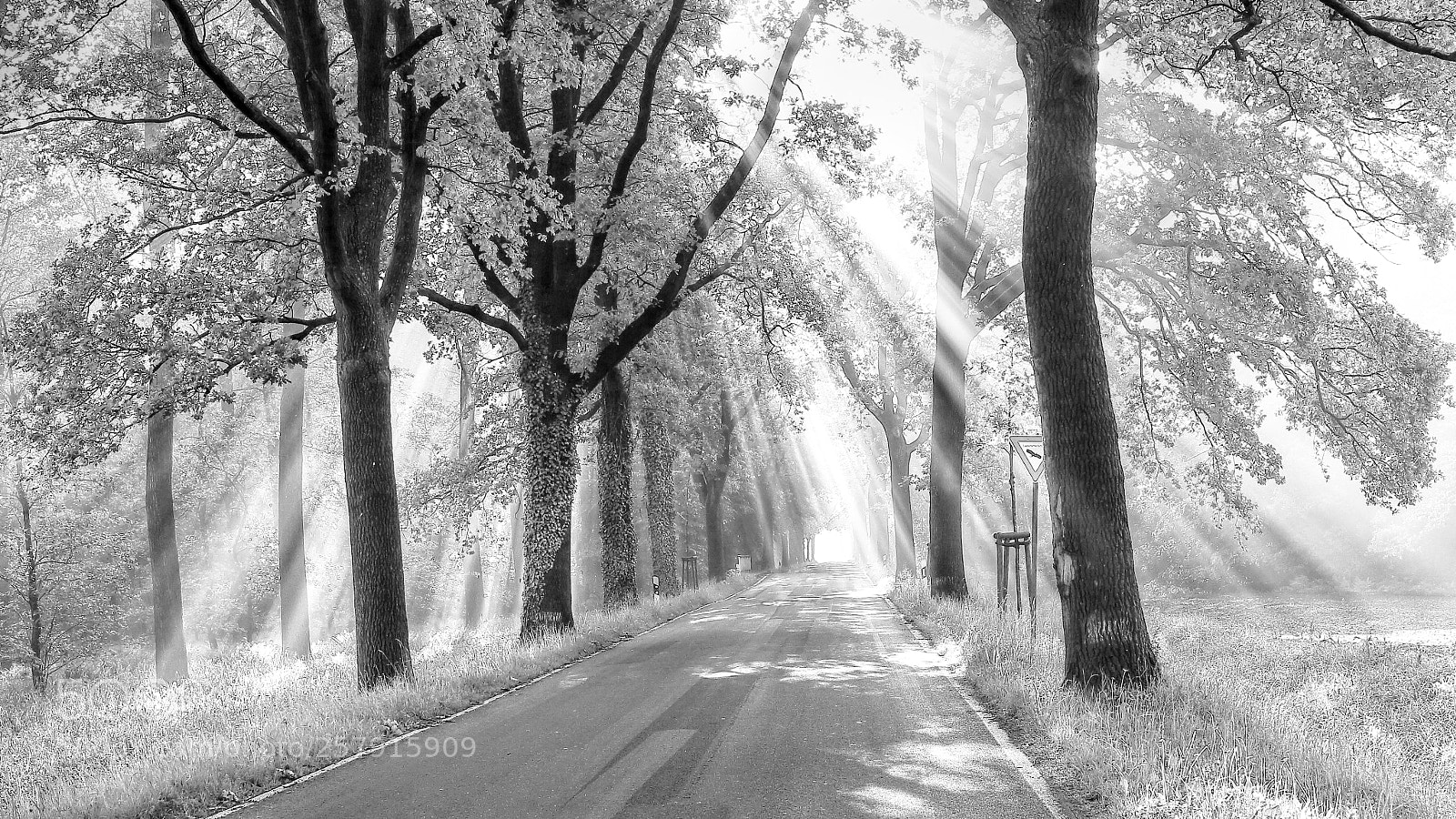 Canon EOS 6D sample photo. After the rain comes photography