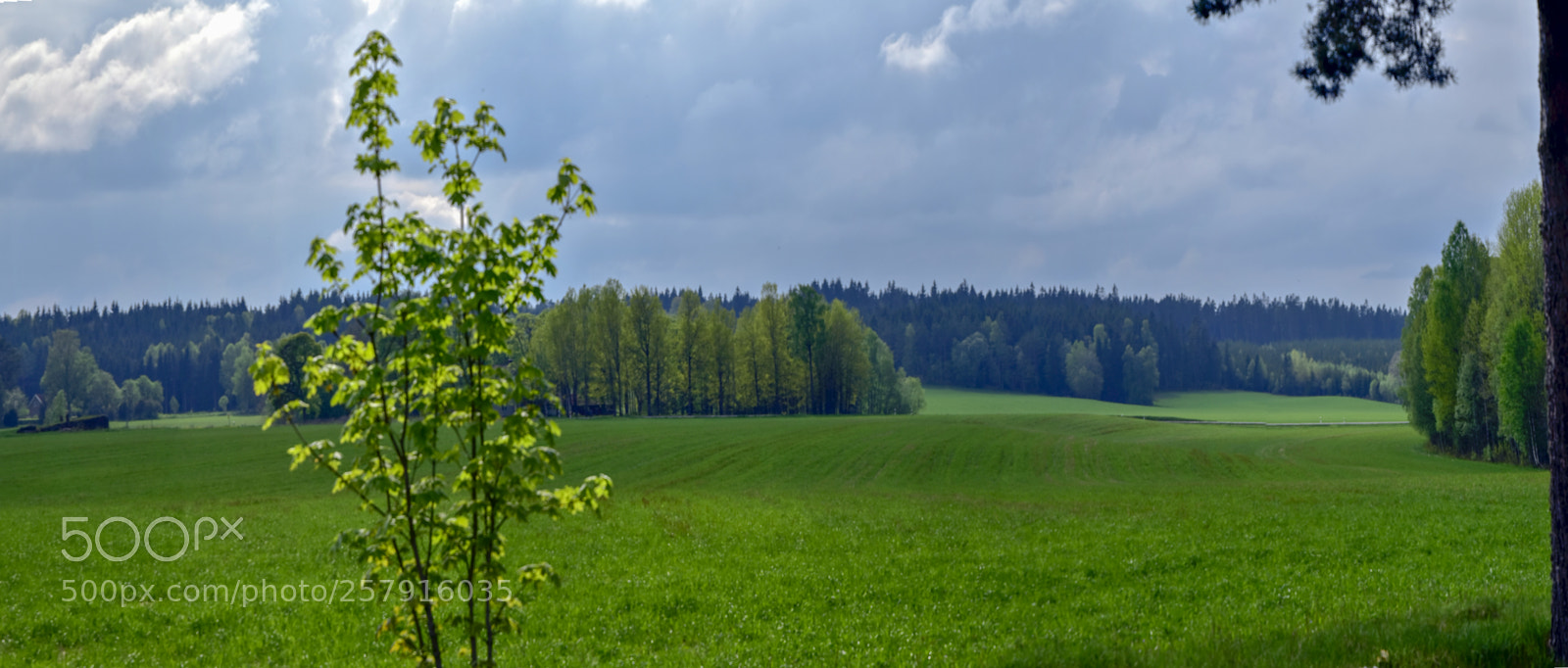 Nikon D5500 sample photo. N sandsjö söderut photography
