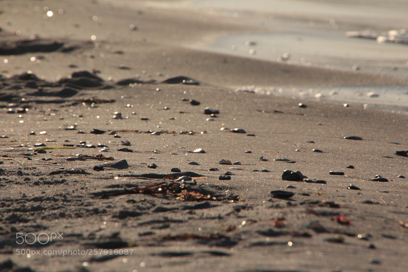 Canon EOS 600D (Rebel EOS T3i / EOS Kiss X5) sample photo. Beach photography