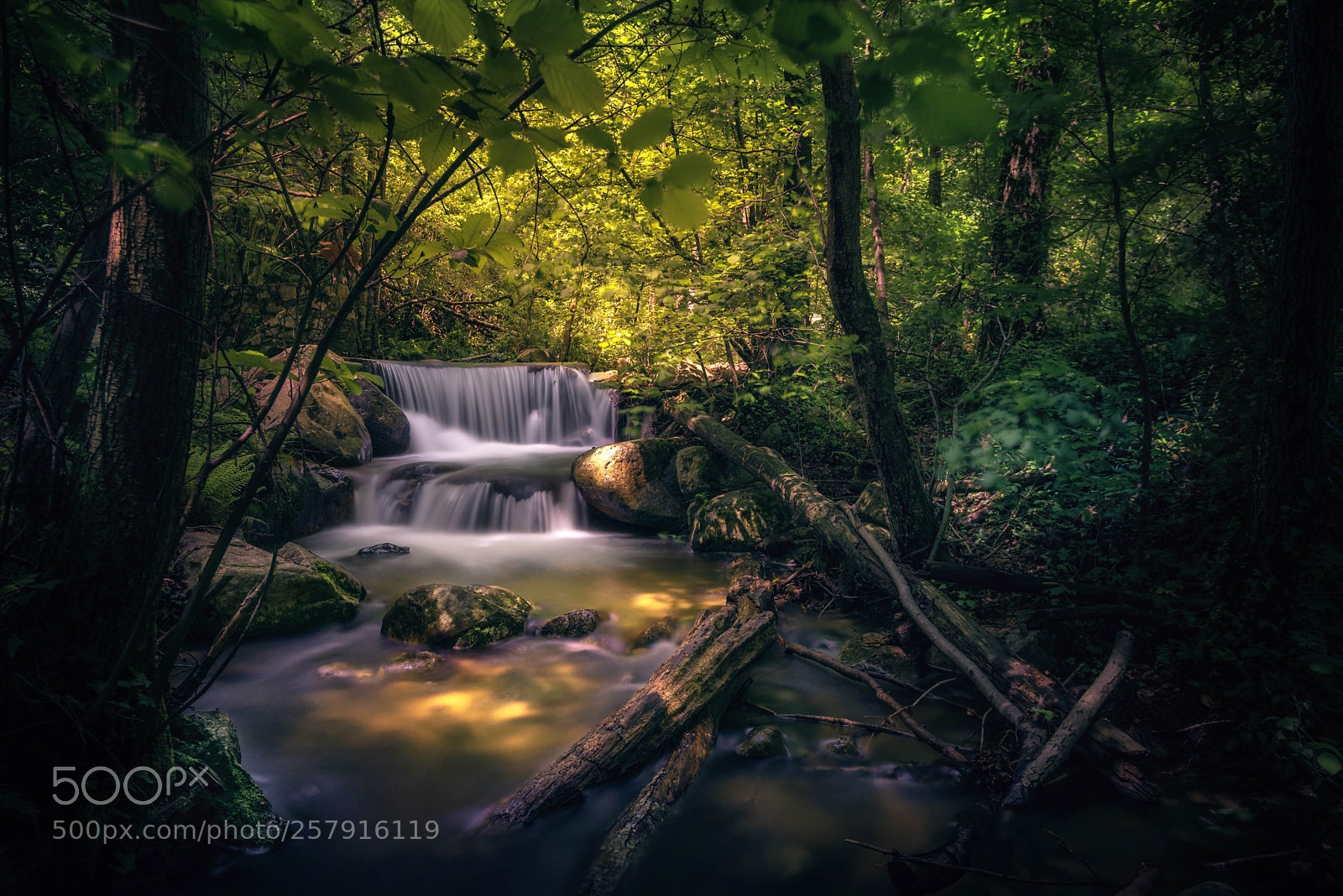 Nikon D750 sample photo. El montseny photography